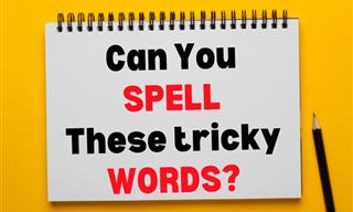 Which of These Words is Spelled Correctly?