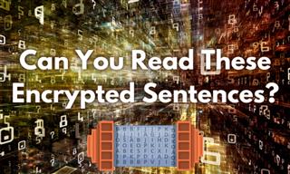 Can You Read These Encrypted Sentences?