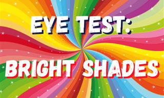 Can You See in BRIGHT SHADES?