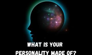 How is Your Personality Constructed?