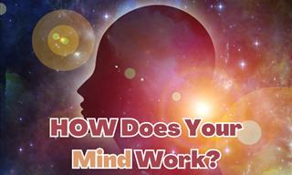 Answer 10 Questions to Learn How Your Mind Works