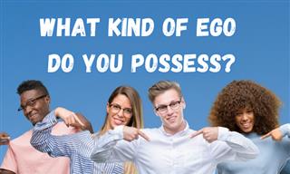 <b>What</b> Kind of Ego Do You Possess?
