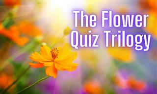 The Flower Trilogy: Are You a Flower Expert?