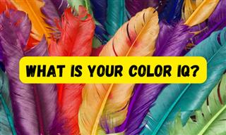 Take Our Color IQ Test and See How Smart You Are