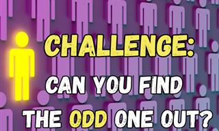 Find the Differences 12 Simple Vision Challenges