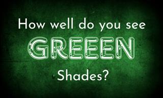 <b>Can</b> <b>You</b> <b>See</b> All <b>Shades</b> of GREEN?