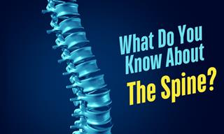 What Do You Know About Your Spine?