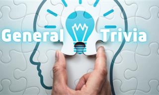 How About a Round of General Trivia?