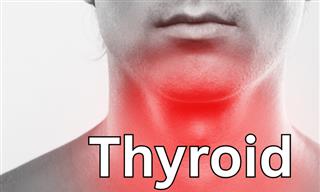 What Do You Know About Your Thyroid?