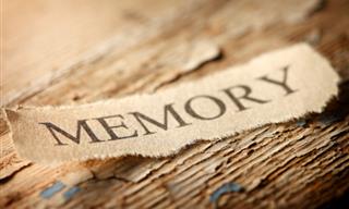 Discover How YOUR <b>Memory</b> Works