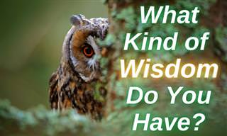 <b>What</b> Sort of Wisdom Do You Have?