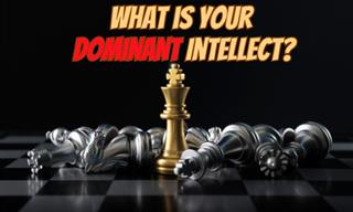 What is Your Dominant Intellect?