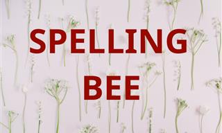 Spelling Bee