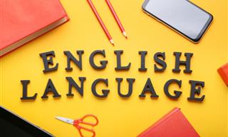 Ready to Test Your Knowledge of English?
