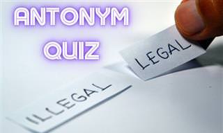 The Great Antonym <b>Quiz</b>!