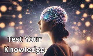 General Knowledge Test