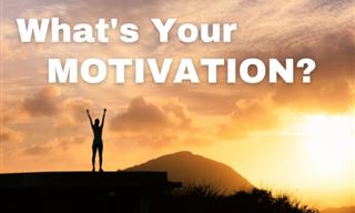 What is Your Main Motivation? Take Our Quiz!