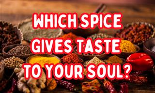 What is the Spice of Your Life?