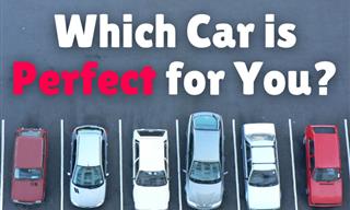 Which <b>Car</b> Should You Optimally Drive?