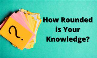 Let's Round Up Your Knowledge!