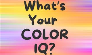 Take Our Color IQ Test and <b>See</b> <b>How</b> Smart <b>You</b> Are