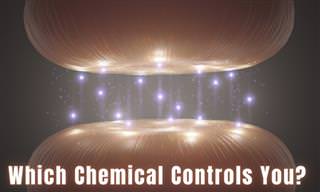 Which Chemical Controls You?