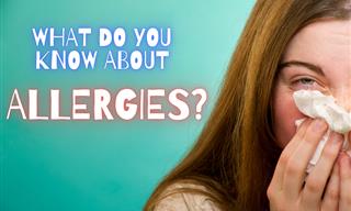 What Do You Know About Allergies?