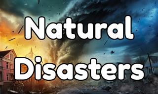 Do You Remember These Natural Disasters?