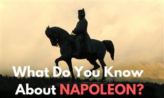 What Do You Know About NAPOLEON?