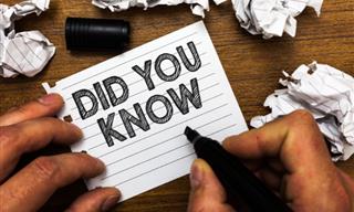 General Knowledge Test