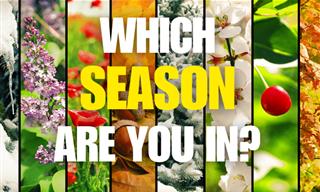 Which Season is Your Life in Right Now?