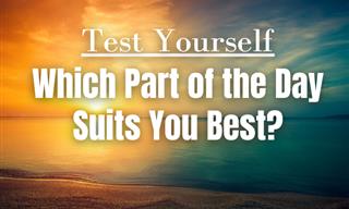 Which Part of the Day <b>Suits</b> <b>You</b>?