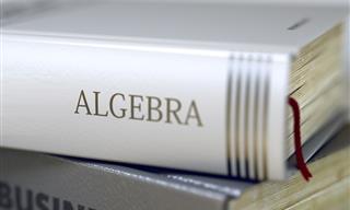 Practice Your <b>Algebra</b> and Your Mind...