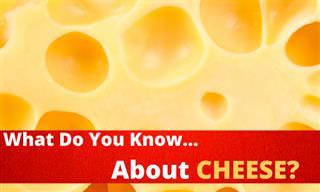 What Do You Know About Cheese?