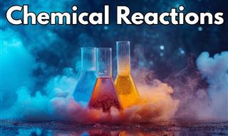 Chemical Reactions