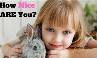 Are You a Nice <b>Person</b>?