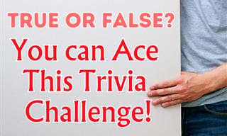 Epic True or False Quiz