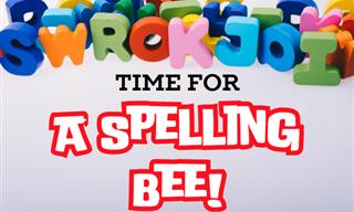 <b>Super</b> Spelling Challenge