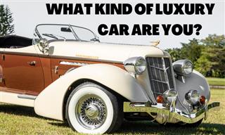 Which Luxury Car Brand Are You?