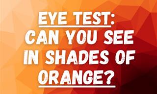 Can You <b>See</b> ALL the Hues of ORANGE?
