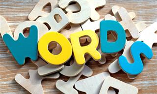 Can You Find the Correct Words?