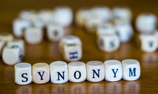 <b>20</b> Chances to Find the Synonym!