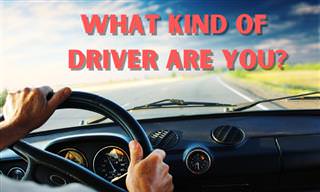 <b>What</b> Type of Driver Are You?