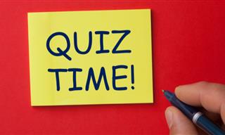 General Knowledge Quiz: 14 Questions