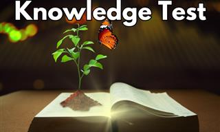16 challenging and fun general knowledge questions