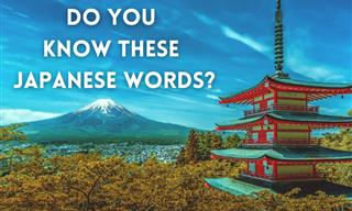 <b>Japanese</b> Word Quiz