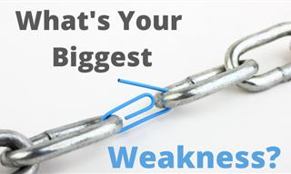 <b>What&#x27;s</b> <b>Your</b> Biggest Weakness?