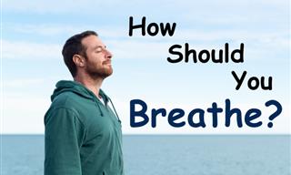 Find the Right Breathing <b>Exercise</b> For You!