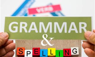 Grammar &amp; <b>Spelling</b> Challenge