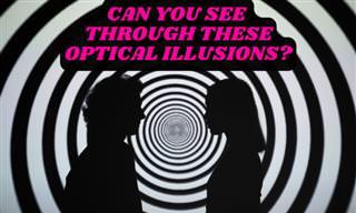 Can You See Through These Optical Illusions?
